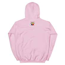 Load image into Gallery viewer, &quot;JUST TAKE IT&quot; Hoodie
